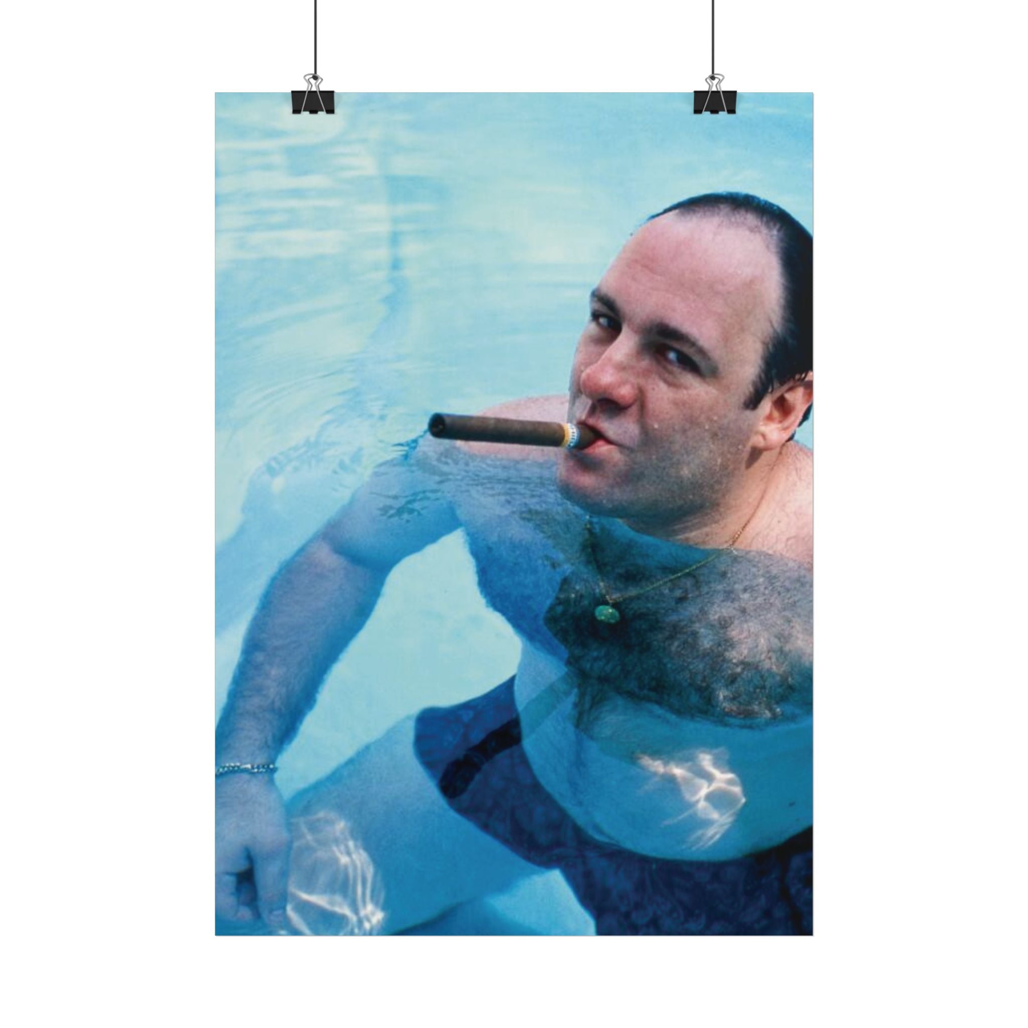 TONY SOPRANO POOL POSTER
