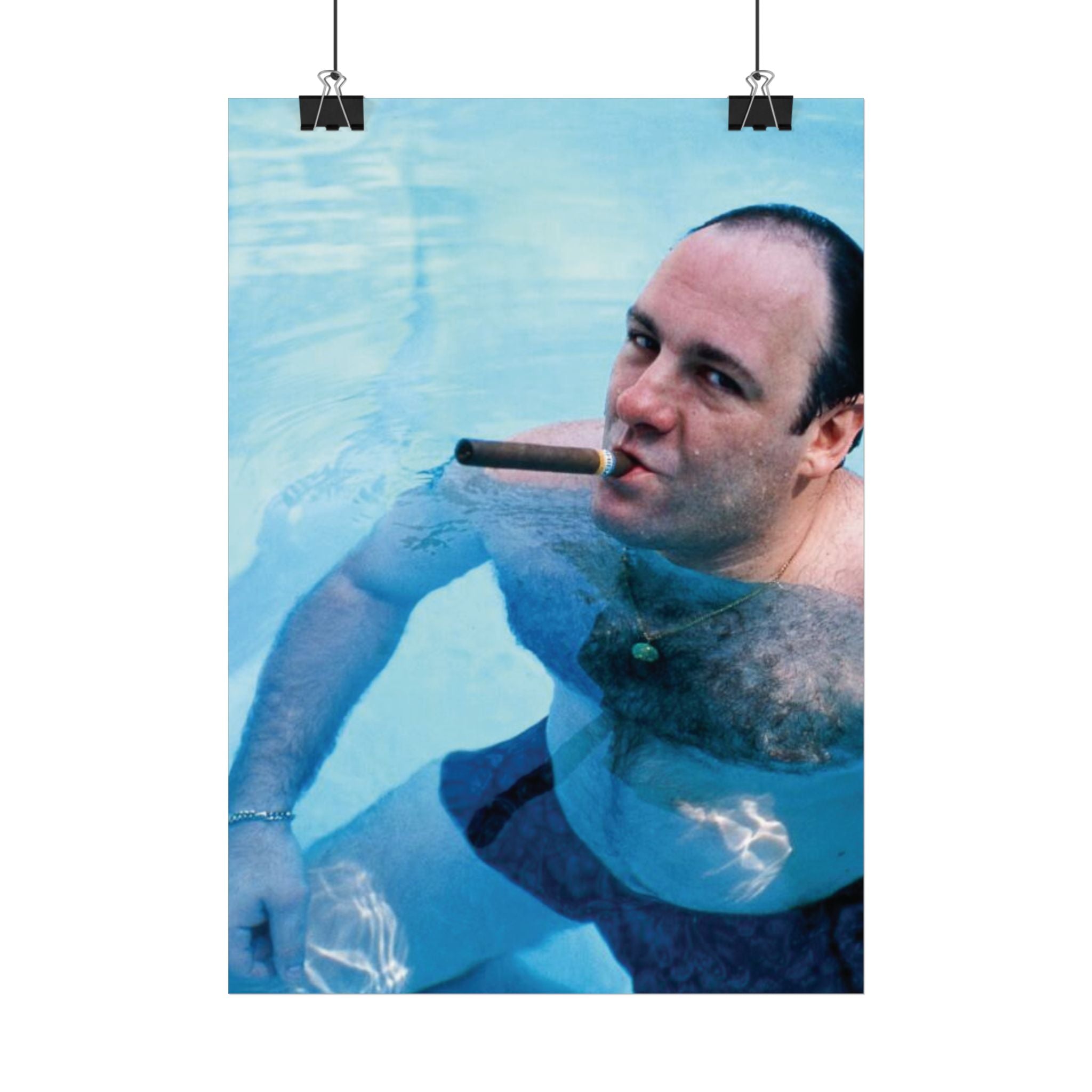 TONY SOPRANO POOL POSTER