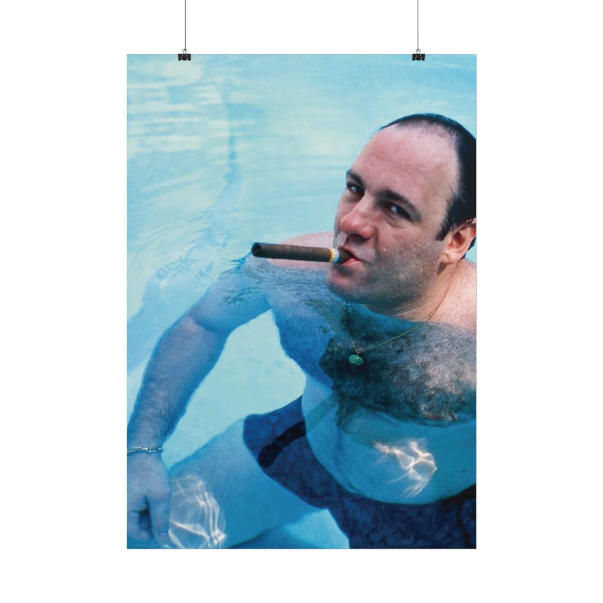 TONY SOPRANO POOL POSTER